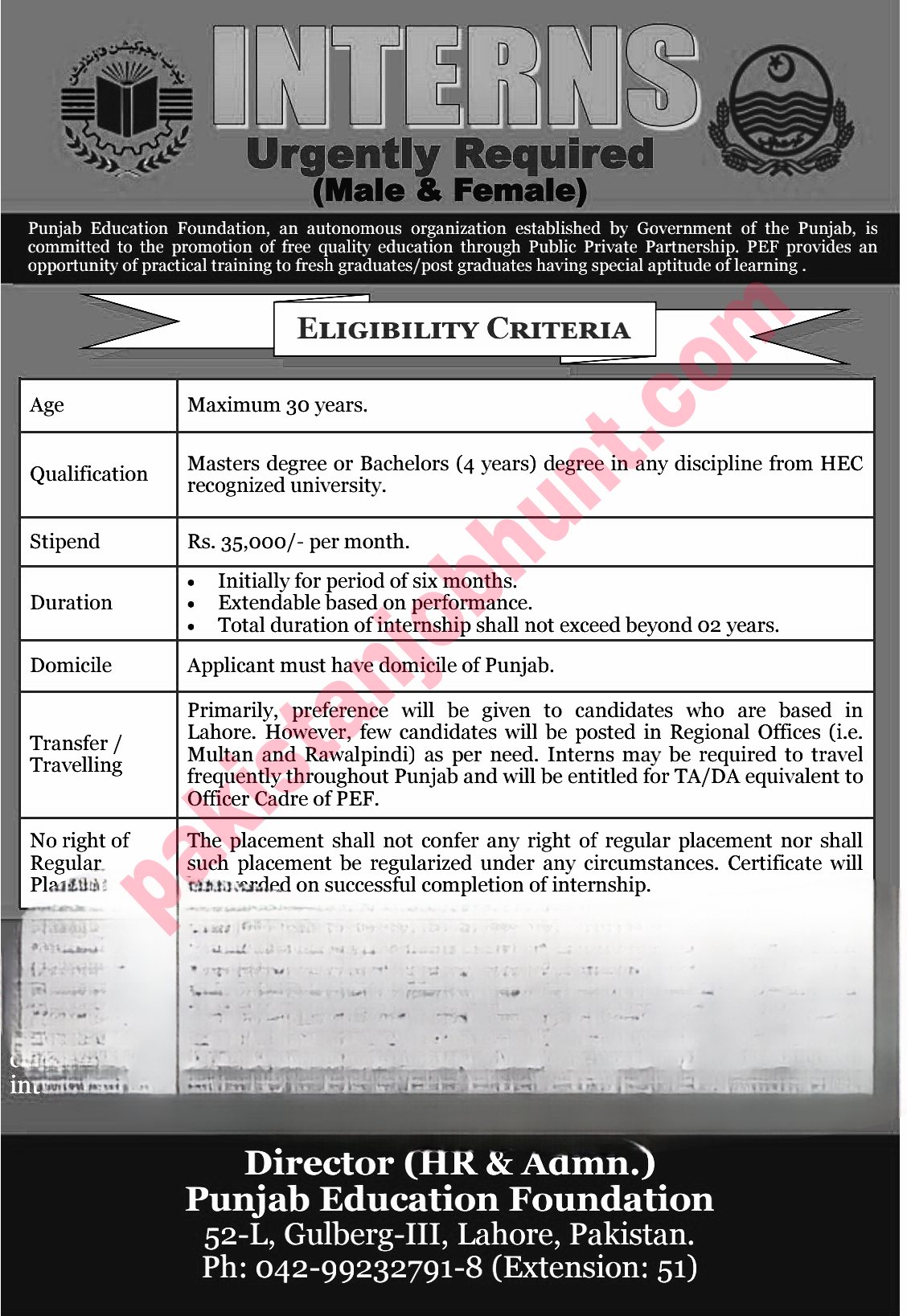 pef internship 2024 advertisement